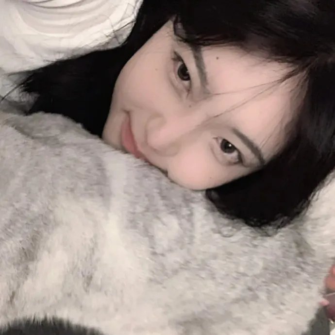 红犬历险记